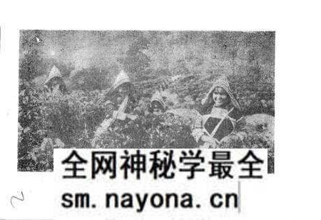 《基诺族风俗志》.pdf电子版_其他志预览图2