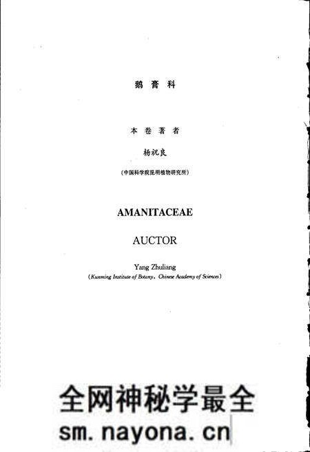 《中国真菌志 第二十七卷 鹅膏科》.pdf电子版_其他志预览图4 《中国真菌志 第二十七卷 鹅膏科》.pdf电子版_其他志预览图4