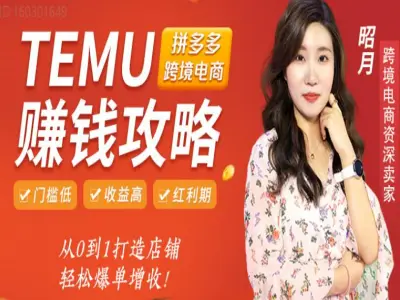 海外拼多多Temu赚钱攻略从0到1打造店铺,轻松爆单教程下载