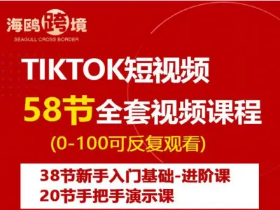 (全套)58节TikTok短视频实操课0-1-海鸥跨境电商教程打包下载