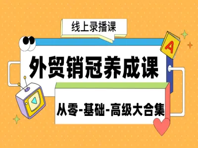 外贸销冠拓客谈单思维课-凤姐外贸讲堂跨境外贸教程2025打包下载
