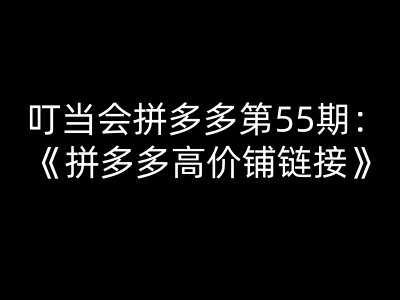 叮当会拼多多第55期：拼多多高价铺链接-叮当会拼多多教程打包下载