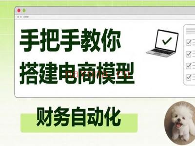 手把手教你搭建电商模型-电商财务赵富贵教程打包下载