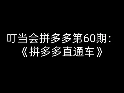 叮当会拼多多第60期:拼多多直通车;叮当会拼多多教程2026打包下载