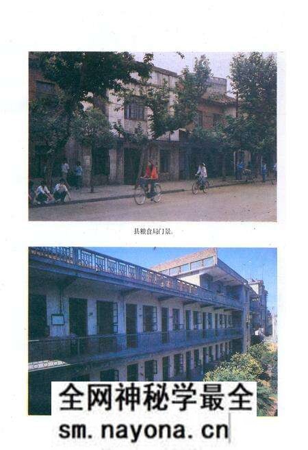 《《嘉鱼县粮食志》》.pdf电子版_湖北省志预览图4 《《嘉鱼县粮食志》》.pdf电子版_湖北省志预览图4