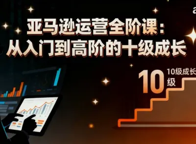 亚马逊运营全阶课:从入门到高阶的十级成长-跨境女侠张丝丝2026打包下载