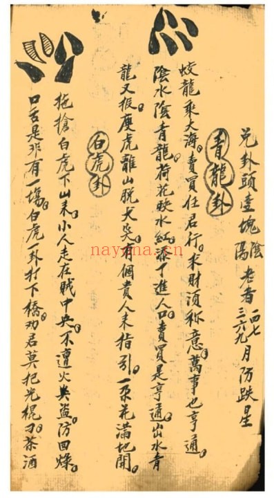 占卜古籍《八卦吉凶定占》30页 国学古籍 第4张