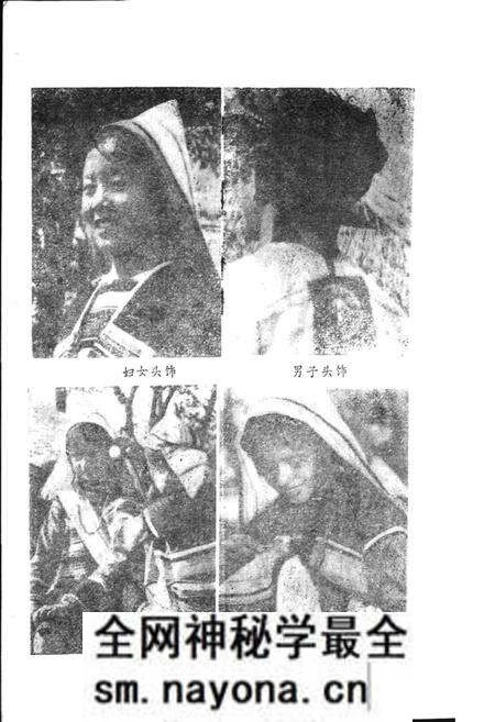 《基诺族风俗志》.pdf电子版_其他志预览图5