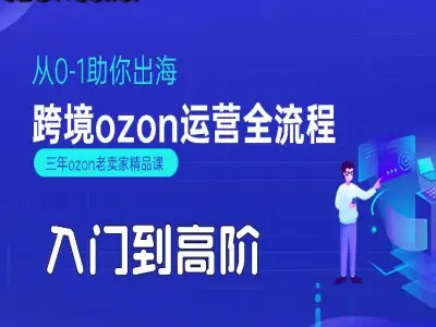 跨境电商ozon运营全流程-跨境电商张如意电商教程打包下载2025