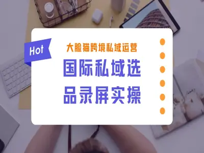 国际私域选品录屏实战课,蓝海市场由你选择-大脸猫跨境电商