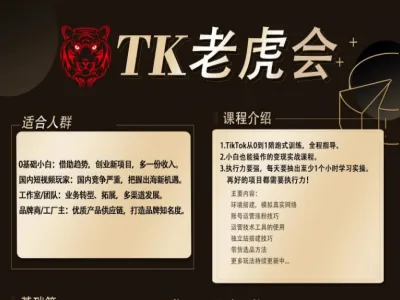 TK老虎会-tiktok跨境教程打包下载