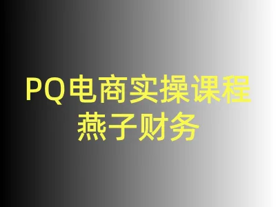 PQ电商实操课程-燕子财务教程打包下载2025.11更新