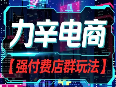 力辛电商-强付费店群玩法-拼多多教程打包下载