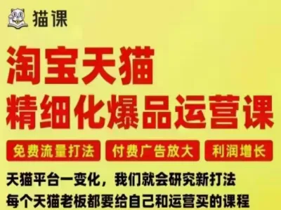 猫课子幽-淘宝天猫精细化爆品运营9月12-14杭州线下课2025打包下载