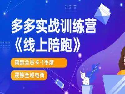多多实战训练营-晟鲸电商拼多多教程打包下载