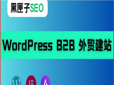 WordPress B2B 外贸模板建站从入门到精通2025
