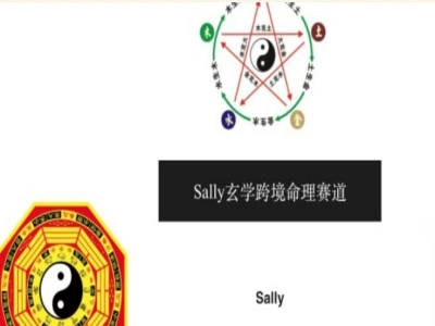 Sally玄学跨境命理中英文课程-tiktok玄学跨境教程打包下载