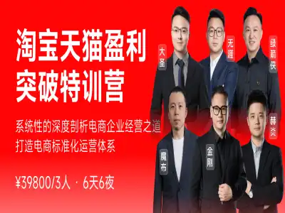 淘宝天猫盈利突破特训营-玺承电商线下课打包下载2025.12