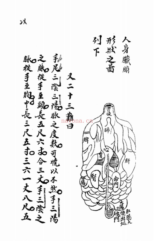 《医学入门脉诀》10