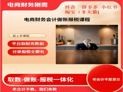 电商财务抖音小红书淘宝拼多多取数做账报税课程-刚哥电商会计教程打包下载