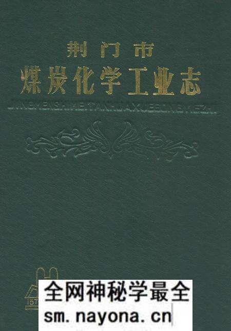《荆门市煤炭化学工业志》.pdf电子版_湖北省志预览图 《荆门市煤炭化学工业志》.pdf电子版_湖北省志预览图