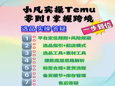 Temu实操教程-零到1掌握跨境跨境拼多多跨境出海樊博电商教程