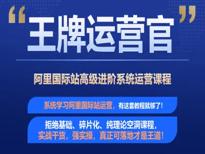 阿里巴巴国际站高级进阶系统运营培训精品课程-大钟老师国际站跨境电商打包下载
