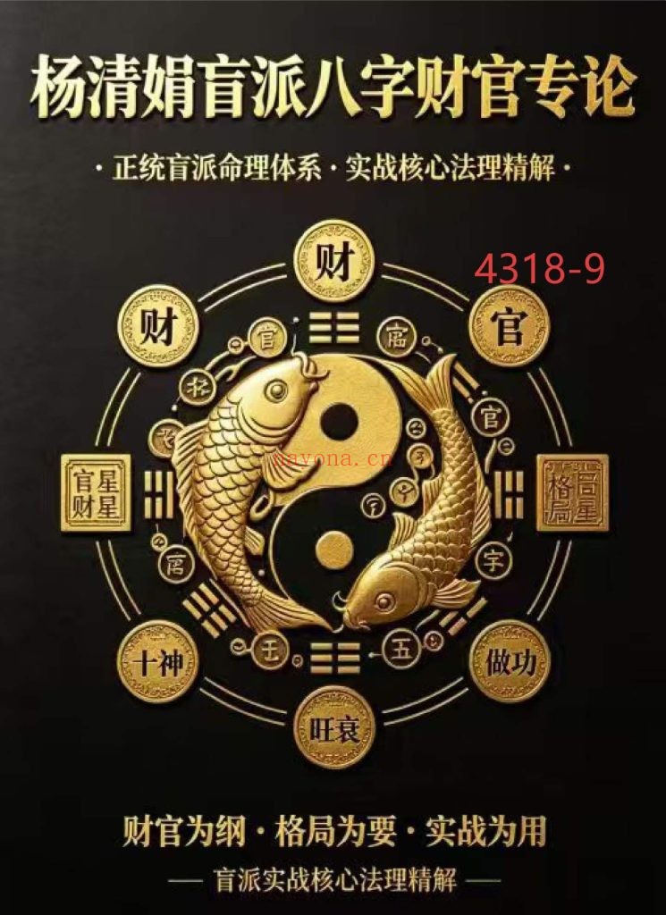 《杨清娟盲派八字财官专论》9