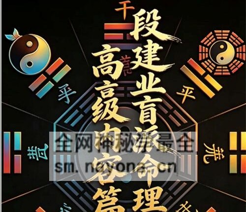E433《段建业盲派命理高级内容篇》理法·象法·技法 359页