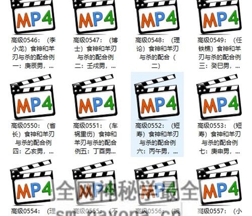 A2383吕泽林吕老师《八字实战高级班第三章》视频41集