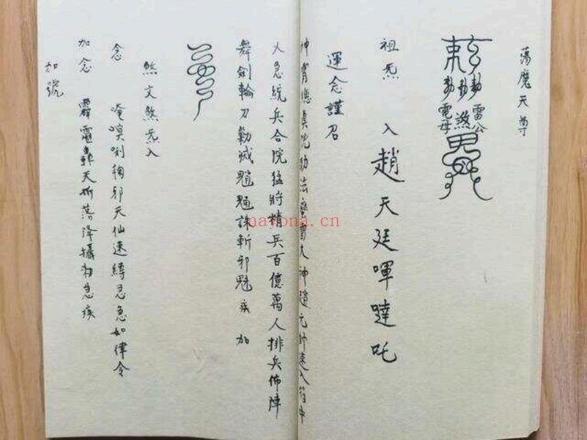 洞神刘天君神霄雷法集