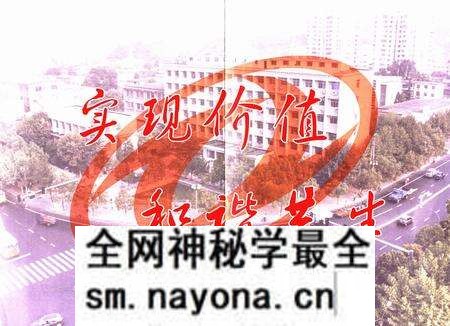 《工业工程公司志(1984-2005)》.pdf电子版_湖北省志预览图5 《工业工程公司志(1984-2005)》.pdf电子版_湖北省志预览图5