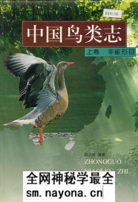《中国鸟类志 上卷 非雀形目》.pdf电子版_其他志预览图 《中国鸟类志 上卷 非雀形目》.pdf电子版_其他志预览图