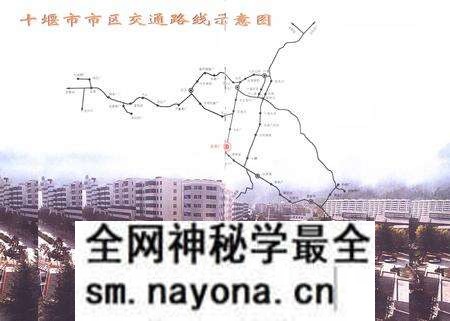《车架厂分卷(1984-1998)》.pdf电子版_湖北省志预览图3 《车架厂分卷(1984-1998)》.pdf电子版_湖北省志预览图3