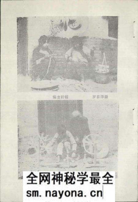 《仫佬族风俗志》.pdf电子版_其他志预览图5