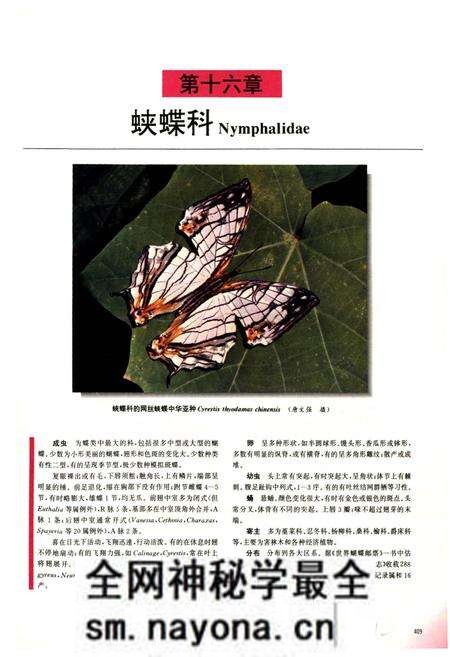 《中国蝶类志(下册)》.pdf电子版_其他志预览图2 《中国蝶类志(下册)》.pdf电子版_其他志预览图2