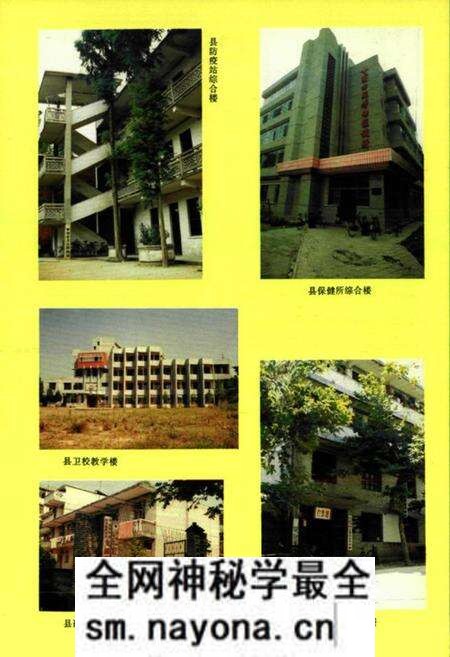 《《罗田县卫生志》(1913-1989)》.pdf电子版_湖北省志预览图5 《《罗田县卫生志》(1913-1989)》.pdf电子版_湖北省志预览图5