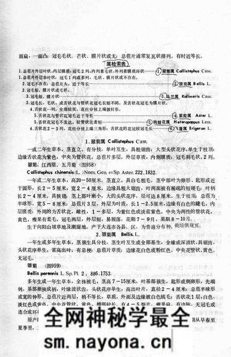 《大连地区植物志 下册》.pdf电子版_辽宁省志预览图4 《大连地区植物志 下册》.pdf电子版_辽宁省志预览图4