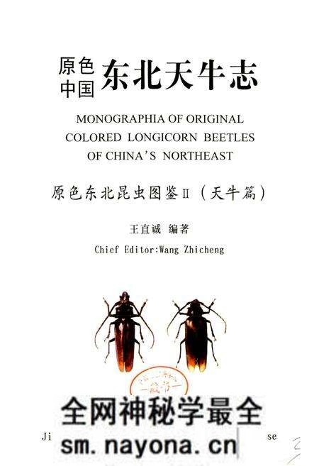 《东北天牛志》.pdf电子版_其他志预览图2