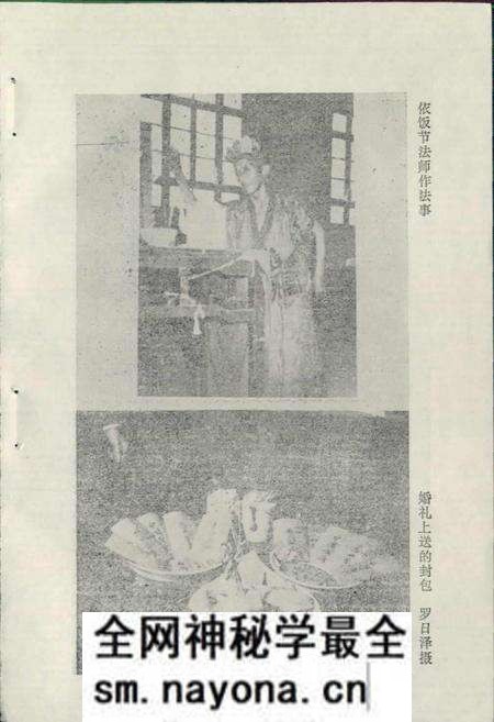 《仫佬族风俗志》.pdf电子版_其他志预览图4