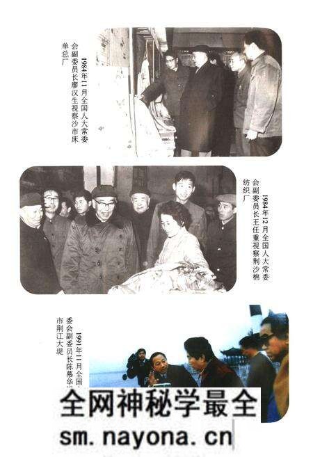 《沙市市人民代表大会志(1949-1994)》.pdf电子版_湖北省志预览图5 《沙市市人民代表大会志(1949-1994)》.pdf电子版_湖北省志预览图5