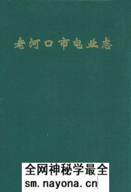 《《老河口市电业志》》.pdf电子版_湖北省志预览图 《《老河口市电业志》》.pdf电子版_湖北省志预览图