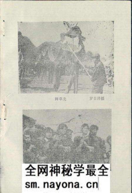 《仫佬族风俗志》.pdf电子版_其他志预览图2
