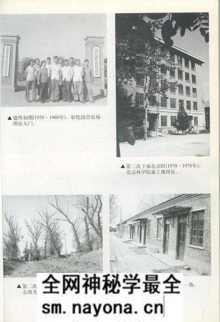 《中国农业科学院蔬菜花卉研究所志》.pdf电子版_其他志预览图2