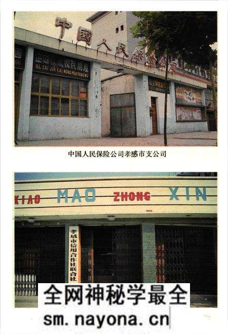 《《孝感市金融志》(1875-1985)》.pdf电子版_湖北省志预览图3 《《孝感市金融志》(1875-1985)》.pdf电子版_湖北省志预览图3