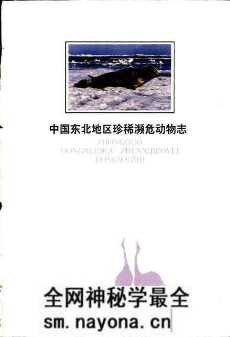《中国东北地区珍稀濒危动物志》.pdf电子版_其他志预览图1