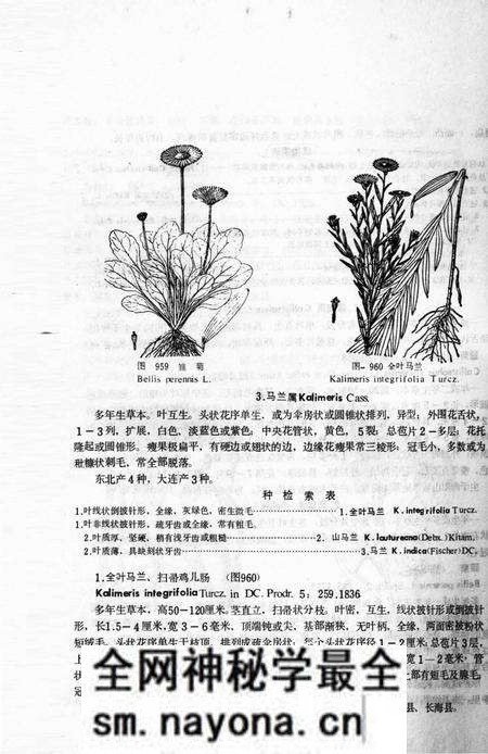 《大连地区植物志 下册》.pdf电子版_辽宁省志预览图5 《大连地区植物志 下册》.pdf电子版_辽宁省志预览图5