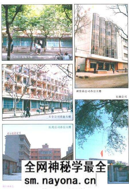 《枝江商业志》.pdf电子版_湖北省志预览图5 《枝江商业志》.pdf电子版_湖北省志预览图5