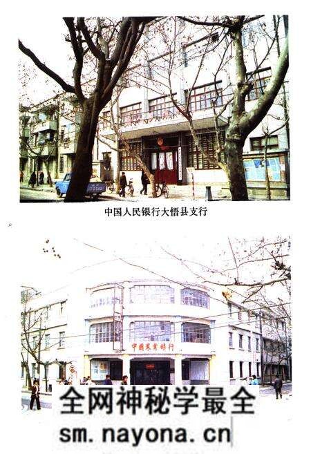 《大悟县金融志(1916-1985)》.pdf电子版_湖北省志预览图4 《大悟县金融志(1916-1985)》.pdf电子版_湖北省志预览图4