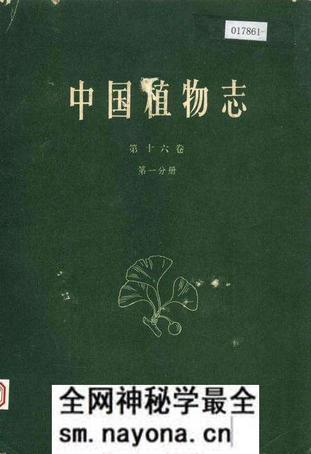 《中国植物志第十六卷第一分册》.pdf电子版_其他志预览图 《中国植物志第十六卷第一分册》.pdf电子版_其他志预览图